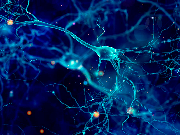 Estudios realizados por el BNI apuntan hacia la terapia génica para el tratamiento de enfermedades neurodegenerativas