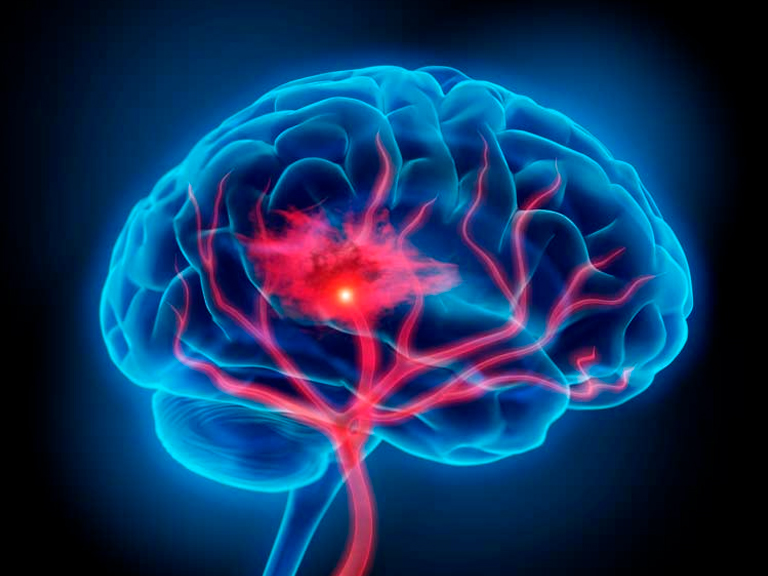 Invitación conferencia: “El lenguaje del Cerebro”
