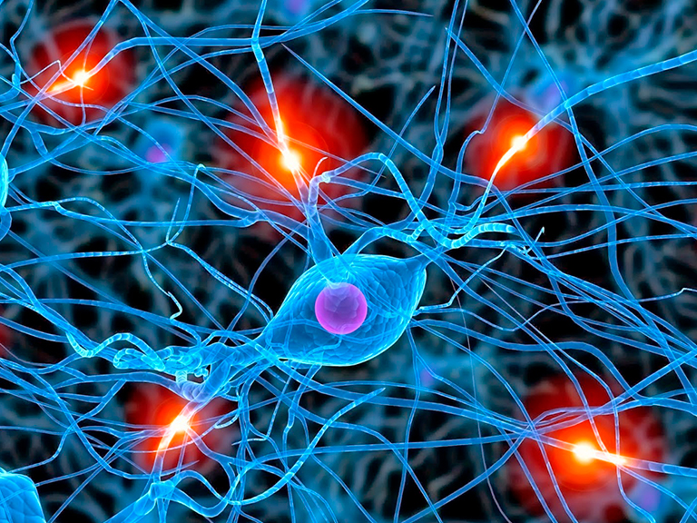 Call for participation in the Young Neuroscientists Symposium