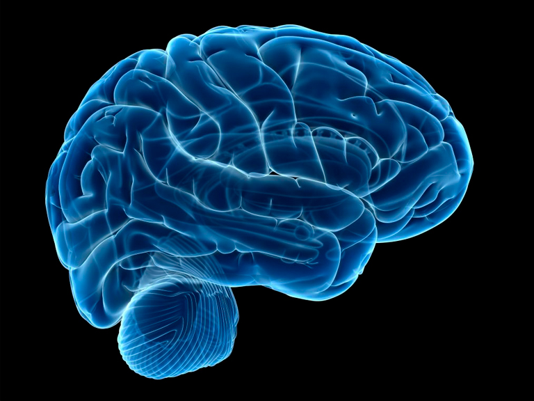 Científicos del BNI buscan construir un cyborg para combatir enfermedades neurodegenerativas