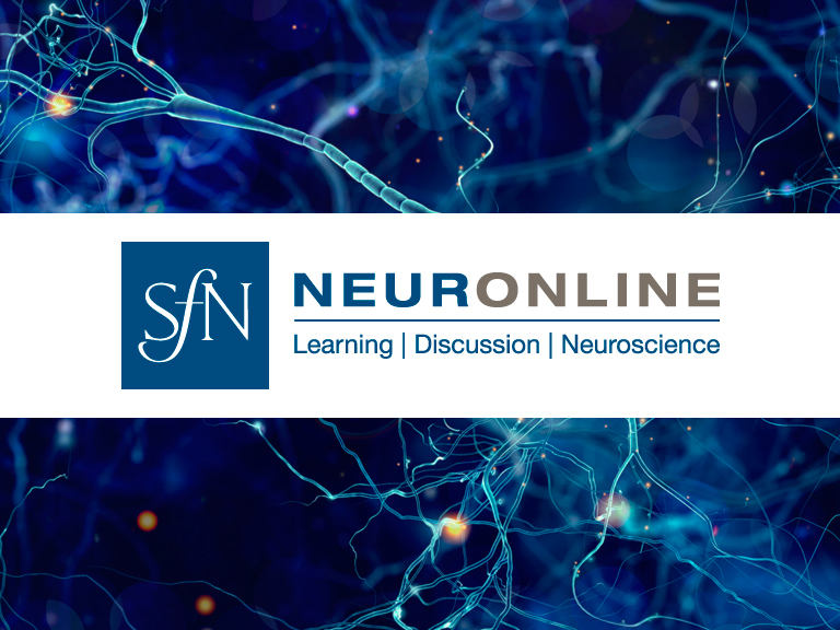 Help us to Promote SfN’s Virtual Conference