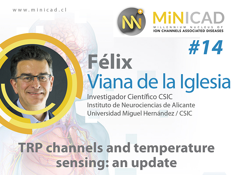 TRP channels and temperature sensing: an update