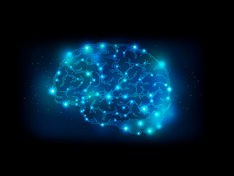 Conexiones cerebrales vinculan el apetito y estado de ánimo en respuesta al stress