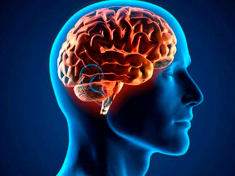 ¿Por qué no nos podemos hacer cosquillas a nosotros mismos? El neurocientífico chileno que busca demostrar que para el cerebro percibir es hacer