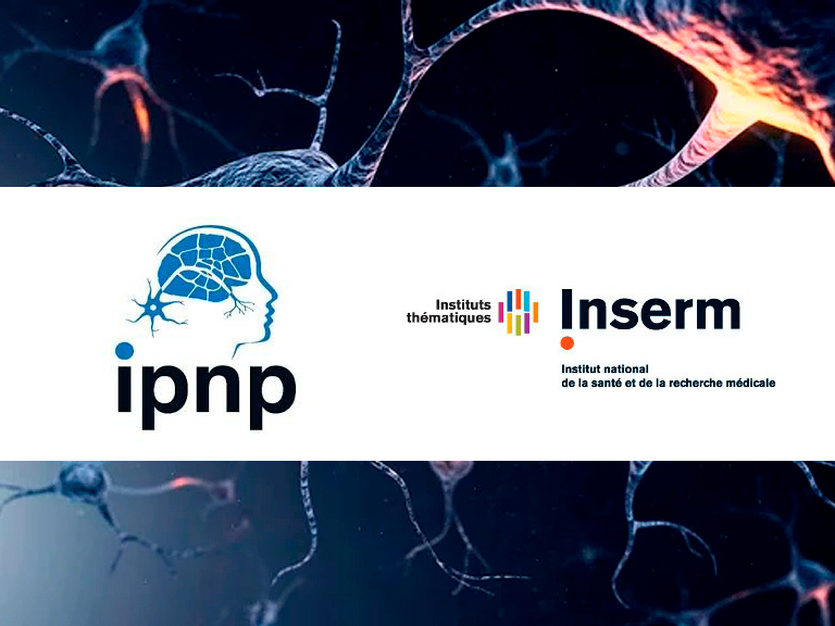 Postdoctoral position IPNP-Paris