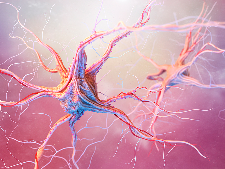 Chilenos investigan uso de toxina de marea roja para combatir la epilepsia