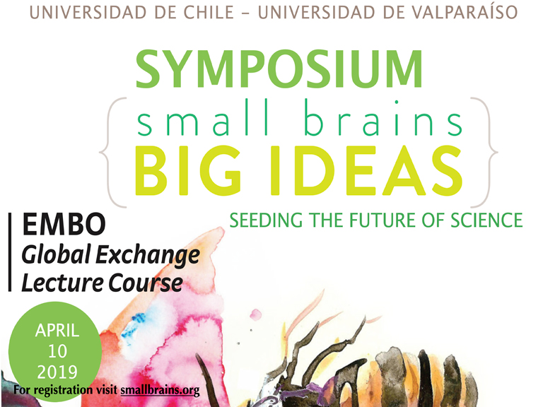 Symposium Small brains Big Ideas