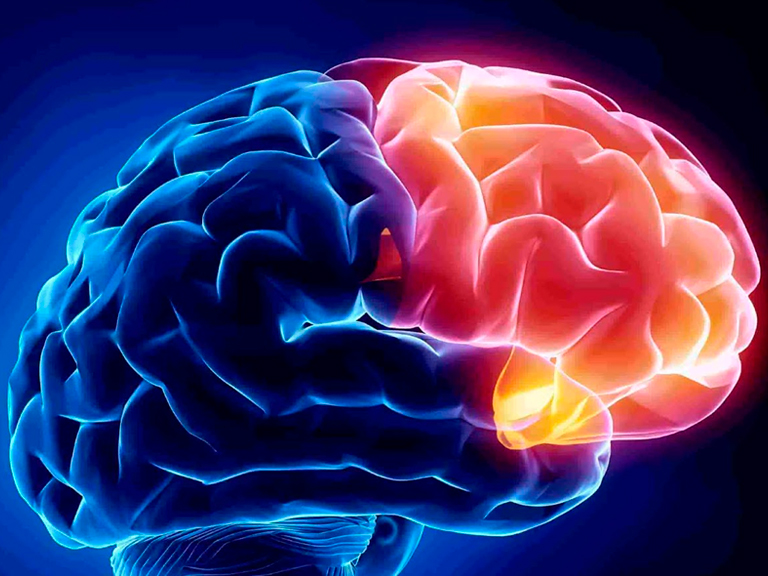 Ciclo Internacional y Nacional de Seminarios sobre Epilepsia