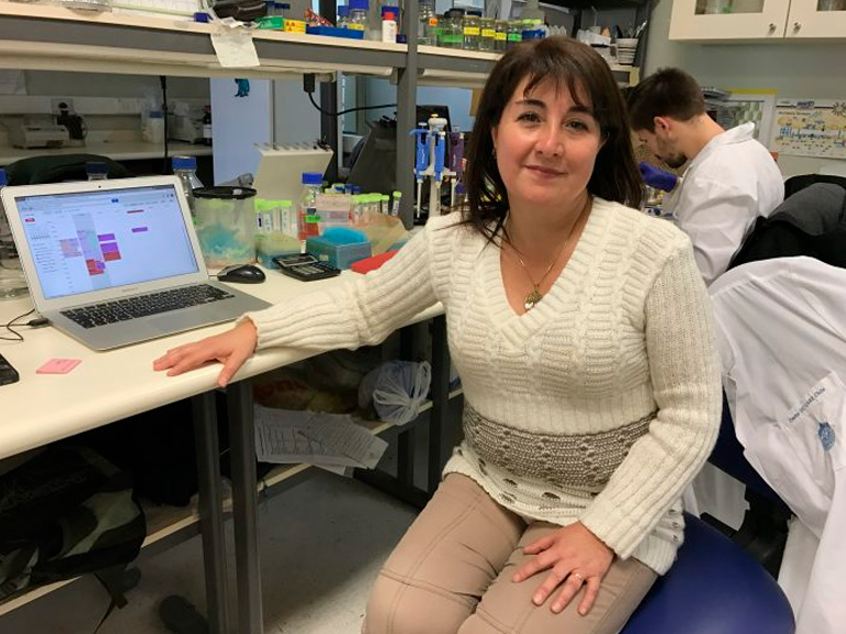 Chilenas descubren molécula que podría combatir epilepsia sin tratamiento