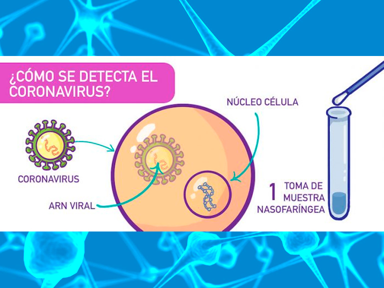 Científicos desarrollan plataformas educativas sobre COVID-19