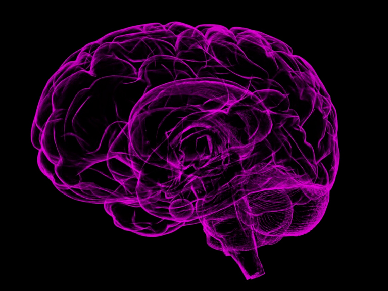 Primera evidencia directa de que el cerebro replica nuestras experiencias mientras dormimos