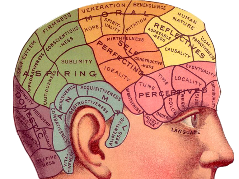 NEUROCIENCIA Y CORONAVIRUS: Siete preguntas para entender cómo funciona el cerebro durante el encierro