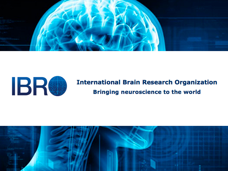 IBRO Statement on the COVID-19 Outbreak
