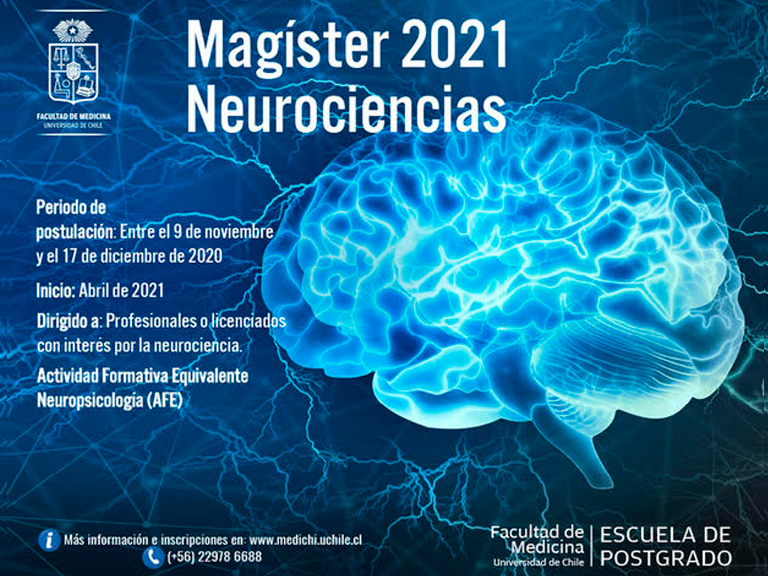 Magister Neurociencias U Chile: Postulaciones 2021
