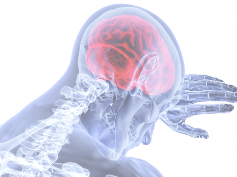 Fagocitosis asociada a autofagia de microglías es esencial para la recuperación de neuroinflamación