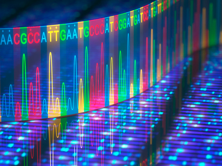 Doctorado en Ciencias mención Biofísica y Biología Computacional