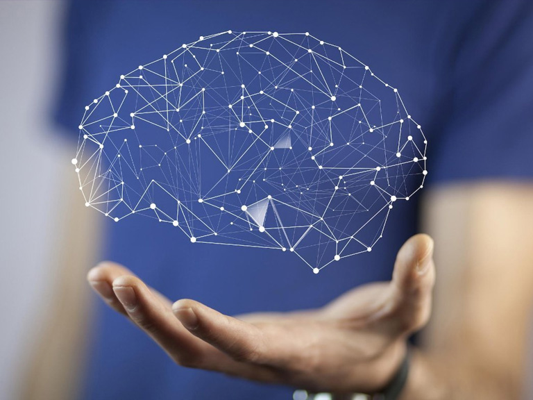 Misterios de la neurociencia y dilemas ambientales en el Festival de Ciencia Puerto de Ideas Antofagasta