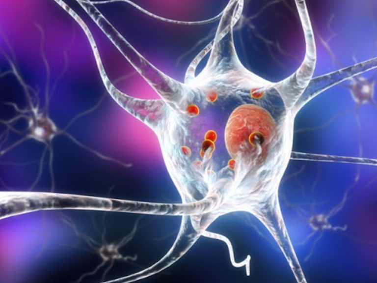 2-year PostDoc position in neurobiology financed by THE BIG BRAIN THEORYPROGRAM between Institut Pasteur and ICM