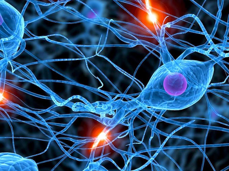 PhD position at the Instituto de Neurociencias UMH-CSIC (Spain)