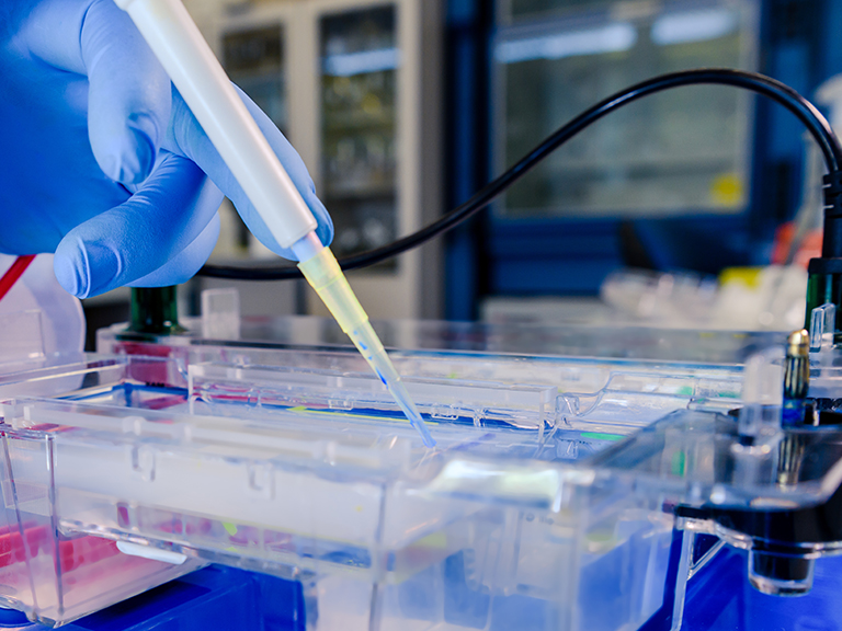 Postdoctoral Associate – Stanley Center for Psychiatric Research