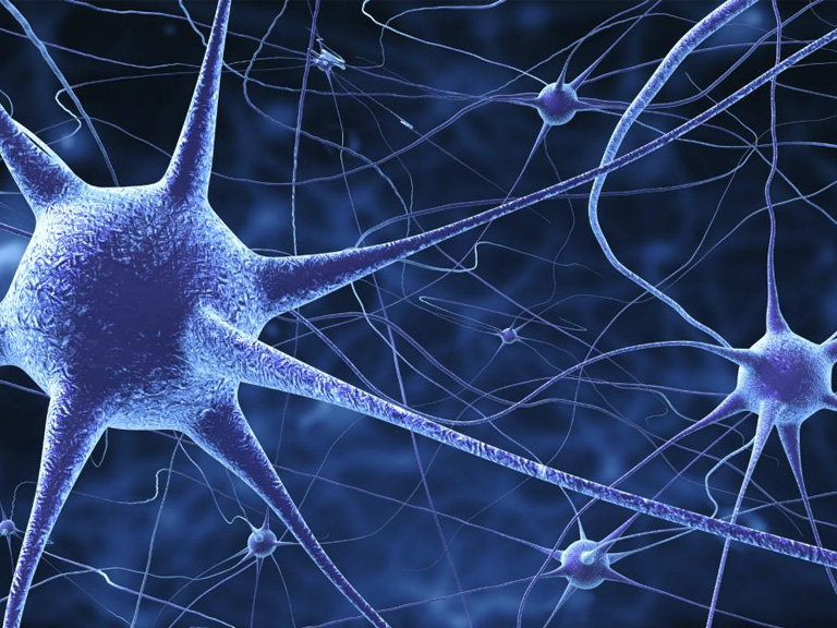 Como la agregación enmarañada de proteínas mata células cerebrales, promoviendo Alzheimer y Encefalopatía Crónica