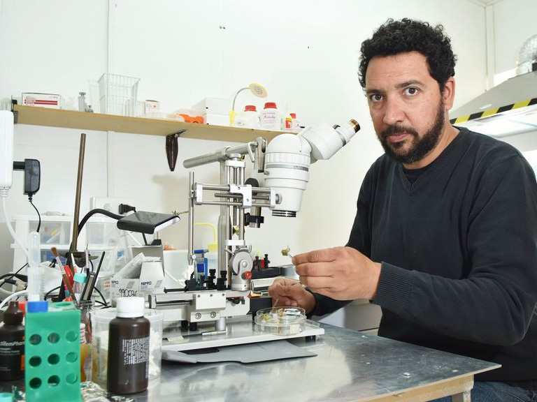 Pablo Moya, del Centro Interdisciplinario de Neurociencia de U. de Valparaíso: “La pandemia ha aumentado síntomas obsesivo-compulsivos que estaban ocultos”