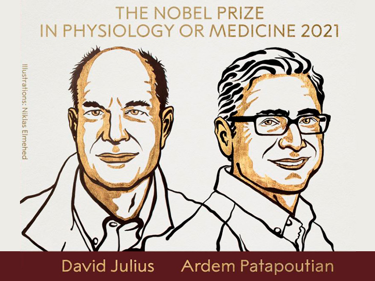 Premios Nobel de Fisiología o Medicina 2021: Comprendiendo los procesos moleculares de la termo-transducción, mecanotransducción y nocicepción.