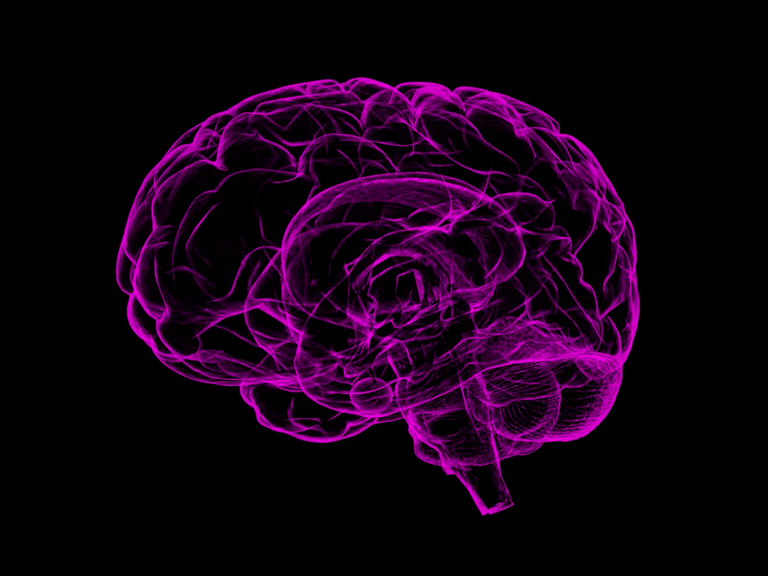 Tremenda labor: Investigadores chilenos descubren cómo frenar el avance del Alzheimer