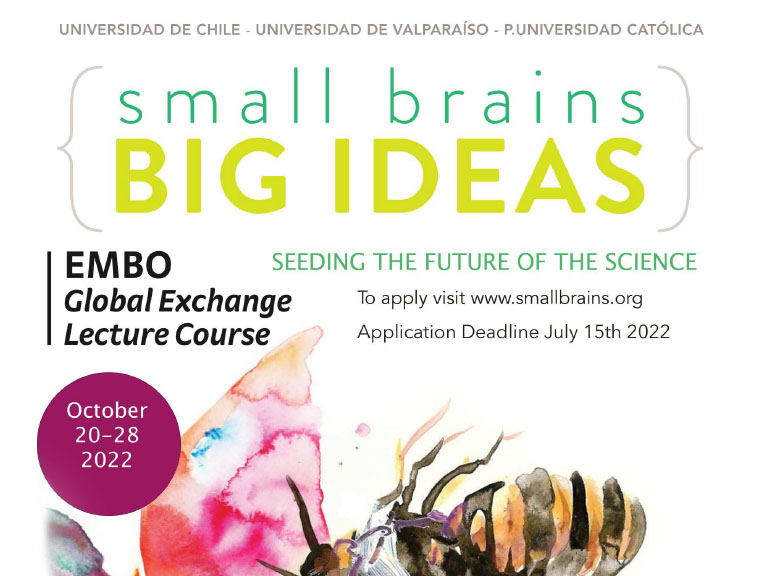 Invitación a curso practico “Small brains, big ideas”