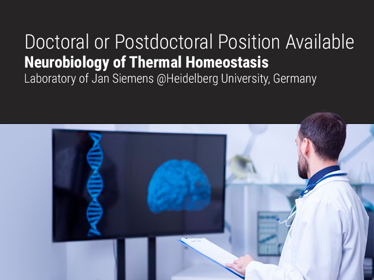 Lab position in Heidelberg￼