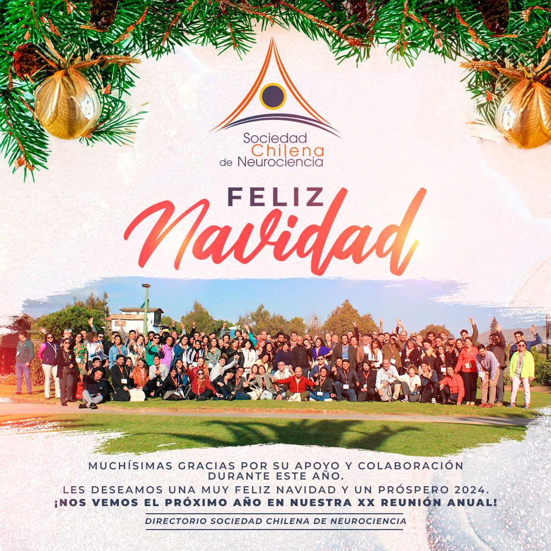 Les deseamos una muy Feliz Navidad y un próspero 2024