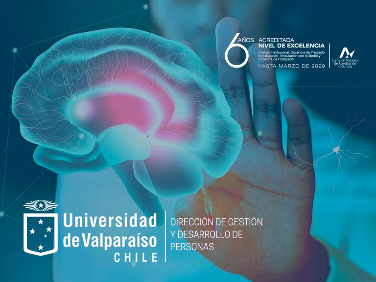 La Universidad de Valparaíso ha abierto concurso para dos cargos académicos