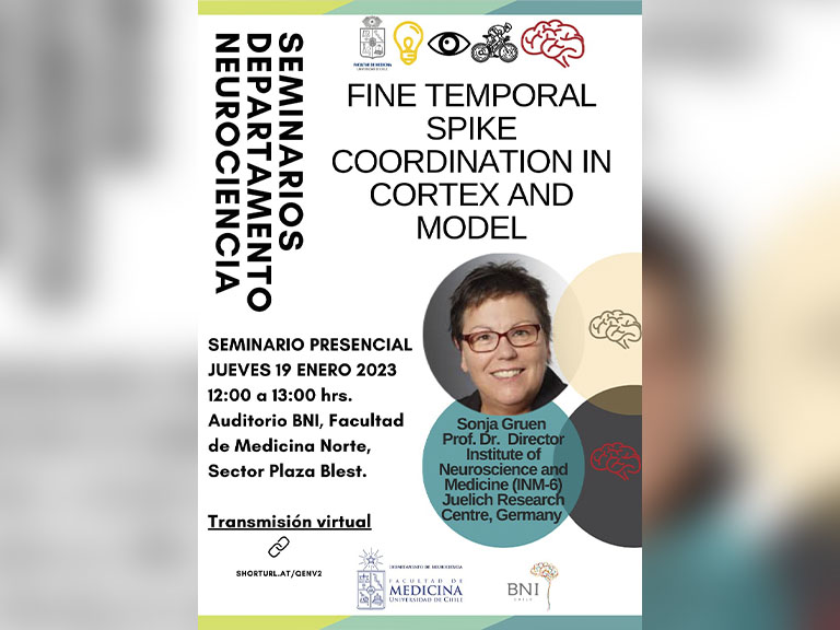 Seminario: Fine temporal spike coordination in cortex and model