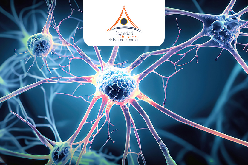 Call for participating in the young Neuroscientists Symposium