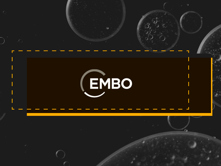 Programas de EMBO