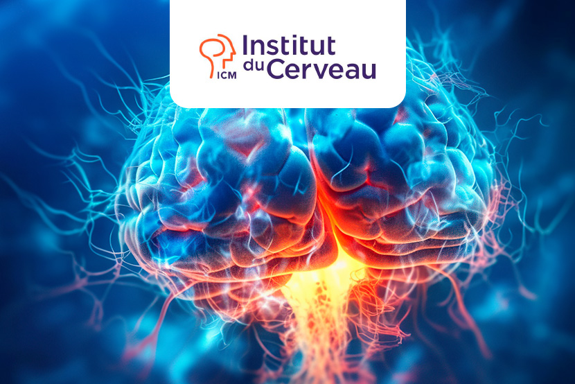 Postdoctoral Position at the Paris Brain Institute (ICM), Paris, France