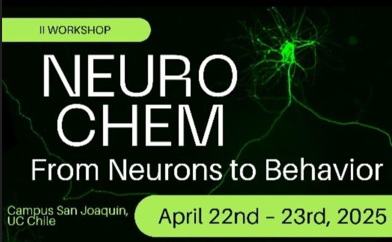 II Workshop NeuroCHEM