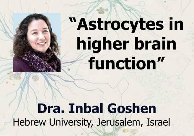 Seminario: “Astrocitos en funciones superiores del cerebro”