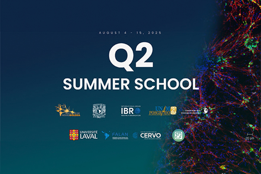 Q2 Summer School in Mexico