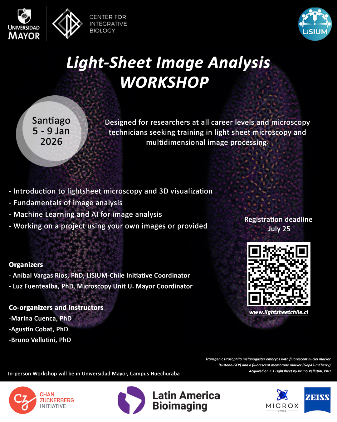 Workshop “Light-Sheet Image Analysis