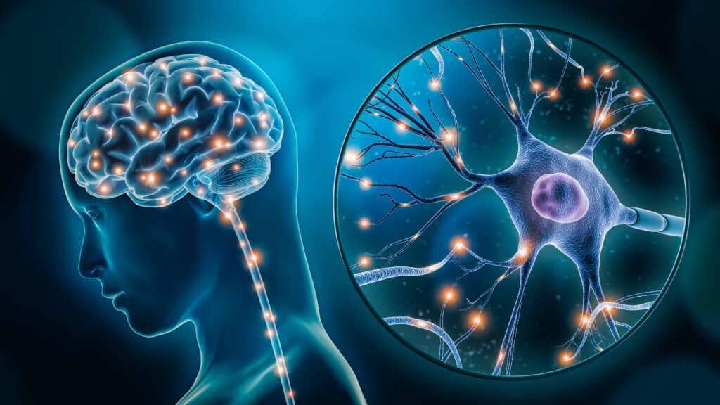 Help Shape the Future of Stroke Rehabilitation and Brain Stimulation
