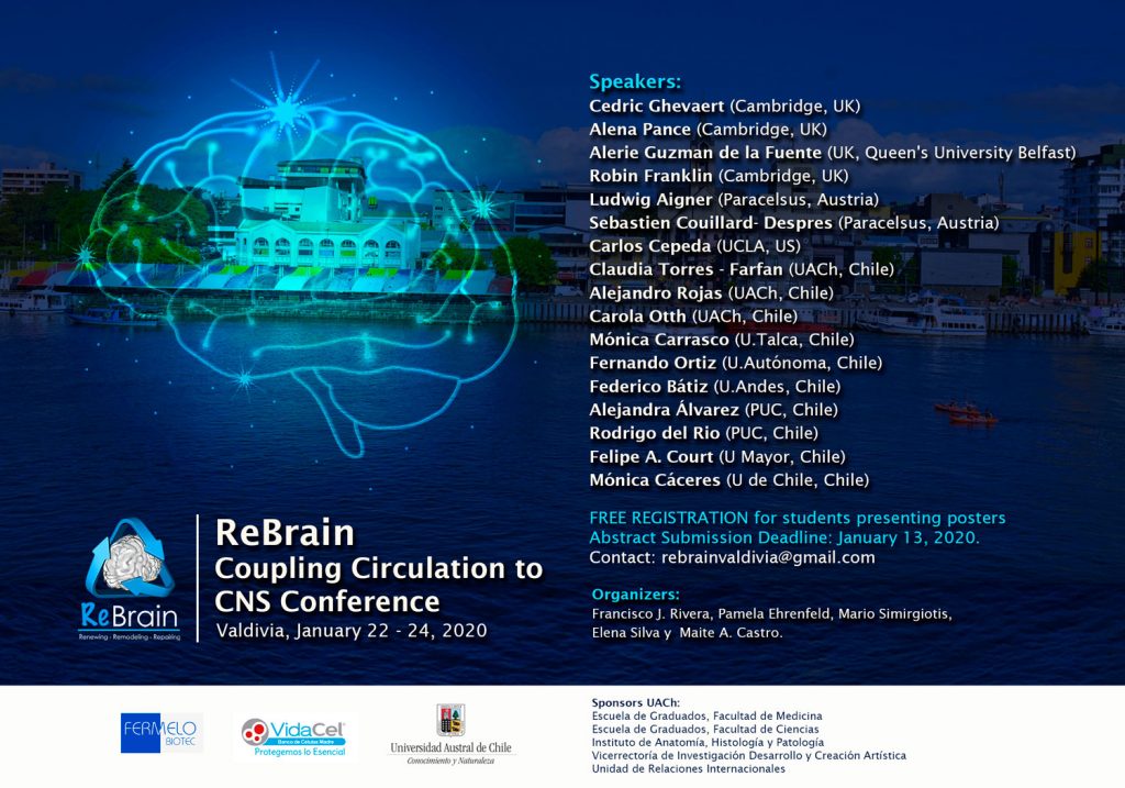ReBrain Coupling Circulation to CNs Conference Sociedad Chilena de