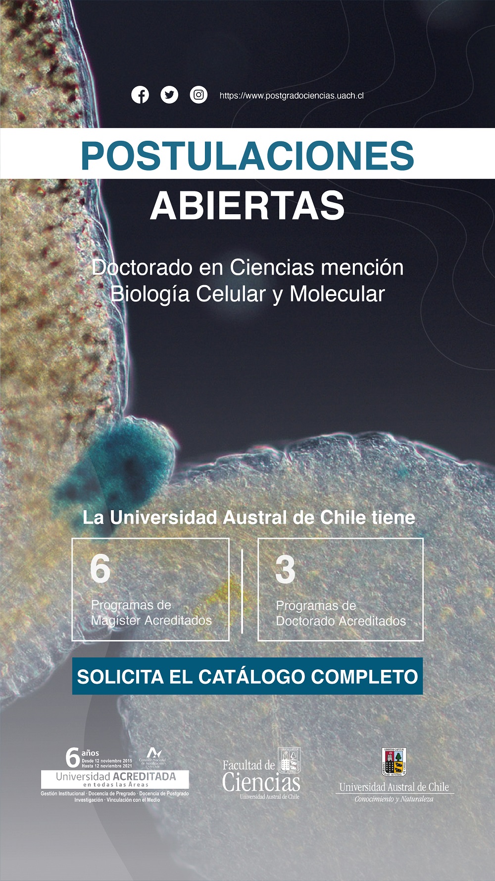 Doctorado En Ciencias Mención Biología Celular Y Molecular ...